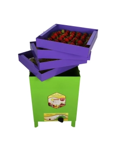 Купить Сушилка для овощей и фруктов УЗБИ СУХОФРУКТ В02 зеленый в E-mobi