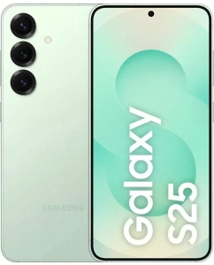 Купить Смартфон Samsung Galaxy S25 12/256GB Mint (Без Рустор) в E-mobi