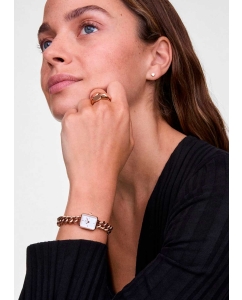 Купить Наручные часы Daniel Wellington Jolie Chain 15,4x18,2 RG  в E-mobi