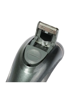 Купить Электробритва HOMESTAR HS-9002  в E-mobi