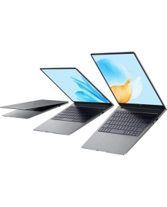 Купить Ноутбук Honor MagicBook X14 2025 FRG-X (5301ALXL) Space Gray  в E-mobi