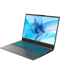 Купить Ноутбук Maibenben X-Treme Typhoon X16A-R77445 (X16A-R77446FFSLGRE0) 16&quot; FHD IPS 300N 120Hz/R7-7435H/16Gb/512Gb SSD/RTX 4060 8Gb/Linux/Grey  в E-mobi