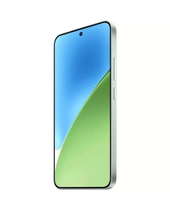 Купить Смартфон Xiaomi 15 12/512GB Green (Без Рустор)  в E-mobi