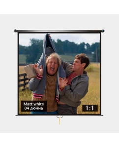 Купить Экран для проектора 150x150BLCK 84-- 1:1 настенно-потолочный Matt White черный корпус в E-mobi