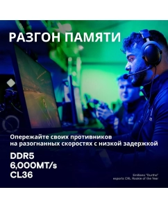 Купить Оперативная память Crucial Pro CP2K16G60C36U5B DDR5 2x16Gb 6000MHz  в E-mobi