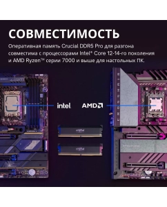 Купить Оперативная память Crucial Pro CP2K16G60C36U5B DDR5 2x16Gb 6000MHz  в E-mobi