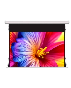 Купить Экран для проектора S-OK SCPSMT-298x168FG-ED30 135 