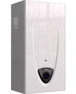 Купить Водонагреватель проточный Ariston FAST EVO ONT C 14 NG RU 3632129 настенный, газовый в E-mobi