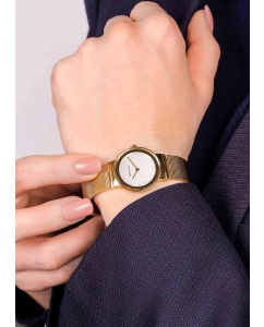 Купить Наручные часы Bering ber-10126-334  в E-mobi