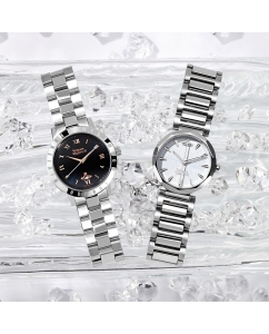 Купить Наручные часы Vivienne Westwood VV246LBLSL  в E-mobi