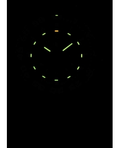 Купить Швейцарские наручные часы Traser TR_103354  в E-mobi