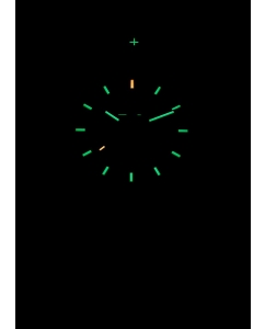 Купить Швейцарские механические наручные часы Traser TR_110961  в E-mobi