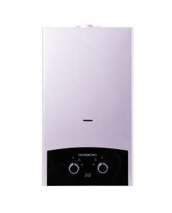 Купить Газовая колонка GENBERG 310.01 ПРЕМИУМ Серебро в E-mobi