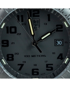 Купить Наручные часы Luminox XS.0321.BO.L LEATHERBACK SEA TURTLE GIANT 0320 SERIES  в E-mobi