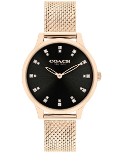 Купить Наручные часы COACH 14504217-ucenka в E-mobi