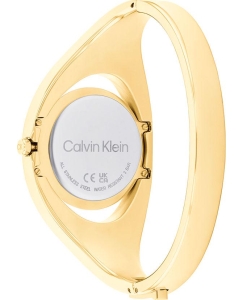 Купить Наручные часы Calvin Klein 25200422  в E-mobi
