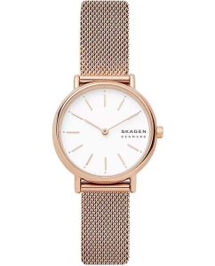 Купить Наручные часы Skagen SKW2694-ucenka в E-mobi