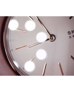 Купить Наручные часы Skagen SKW2694-ucenka  в E-mobi