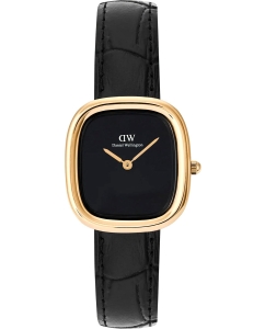 Купить Наручные часы Daniel Wellington DW00100880 в E-mobi