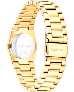 Купить Наручные часы Calvin Klein 25100122  в E-mobi