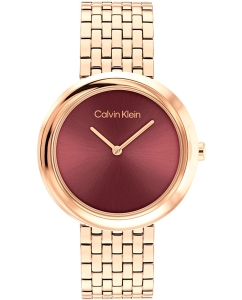 Купить Наручные часы Calvin Klein 25100067 в E-mobi