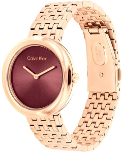 Купить Наручные часы Calvin Klein 25100067  в E-mobi