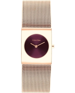 Купить Наручные часы Calvin Klein 25100137 в E-mobi