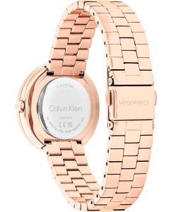 Купить Наручные часы Calvin Klein 25100095  в E-mobi