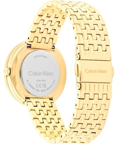 Купить Наручные часы Calvin Klein 25100066  в E-mobi