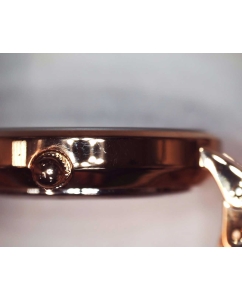 Купить Наручные часы Daniel Wellington DW00100613-ucenka  в E-mobi