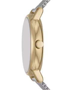 Купить Наручные часы Skagen SKW3153SET  в E-mobi