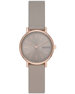 Купить Наручные часы Skagen SKW3060 в E-mobi