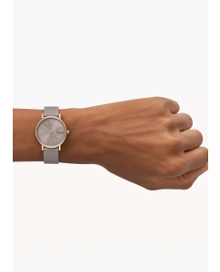 Купить Наручные часы Skagen SKW3060  в E-mobi
