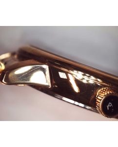 Купить Наручные часы Rodania R31002-ucenka  в E-mobi