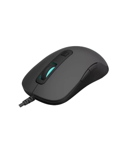 Купить Проводная мышь Rapoo V16RGB черный  в E-mobi