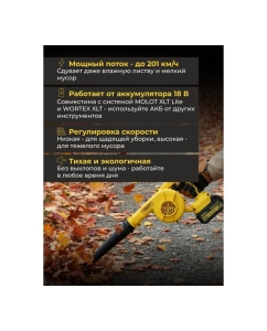 Купить Воздуходувка аккумуляторная MOLOT MCB 1816 XLT Lite SET ЦЗ-2775017064  в E-mobi