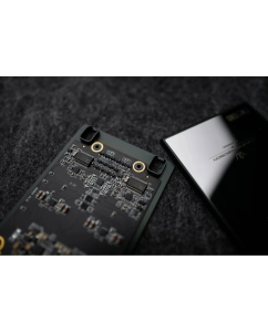 Купить Luxury & Precision AD1955 audio board в E-mobi