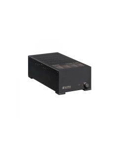 Купить Spotless Audio P250 Monoblock в E-mobi