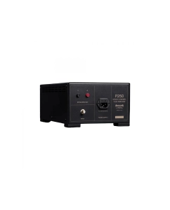 Купить Spotless Audio P250 Monoblock  в E-mobi
