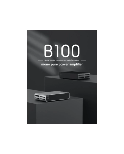 Купить Topping B100  в E-mobi