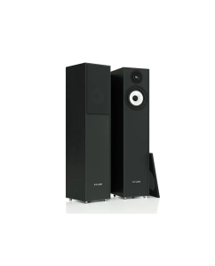 Купить Pylon Audio Pearl 20 в E-mobi