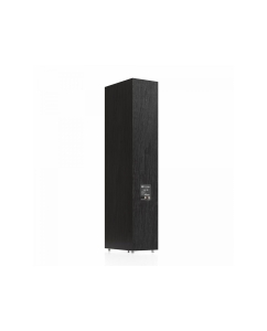 Купить Pylon Audio Ruby 30  в E-mobi