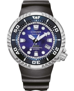 Купить Японские наручные часы Citizen BN1025-08L в E-mobi