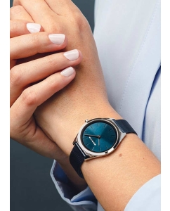 Купить Наручные часы Bering ber-17031-307  в E-mobi