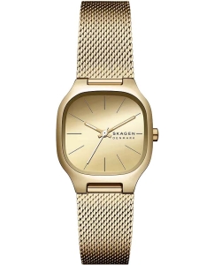 Купить Наручные часы Skagen SKW3164 в E-mobi