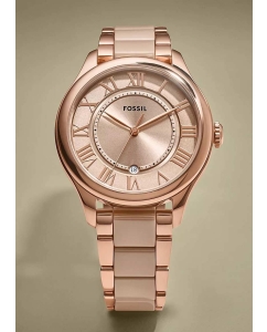 Купить Наручные часы Fossil CE1133  в E-mobi
