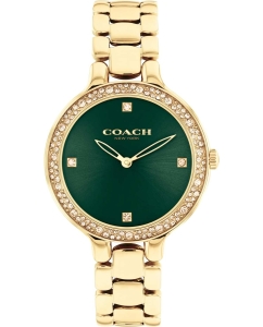 Купить Наручные часы COACH 14504251 в E-mobi