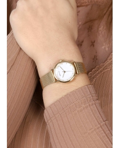 Купить Наручные часы Bering ber-13426-334  в E-mobi