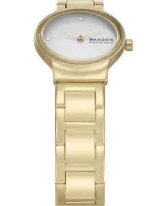 Купить Наручные часы Skagen SKW3167  в E-mobi
