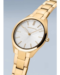 Купить Наручные часы Bering ber-17231-734  в E-mobi